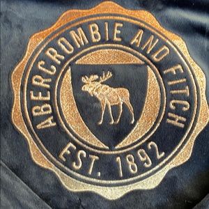 Abercrombie and Fitch Velour Hoodie in Navy